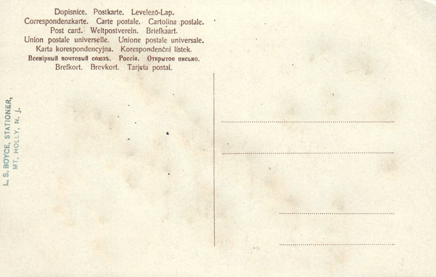 Greetings from Mt Holly Pink & White Floral Greeting Card New Jersey NJ Postcard