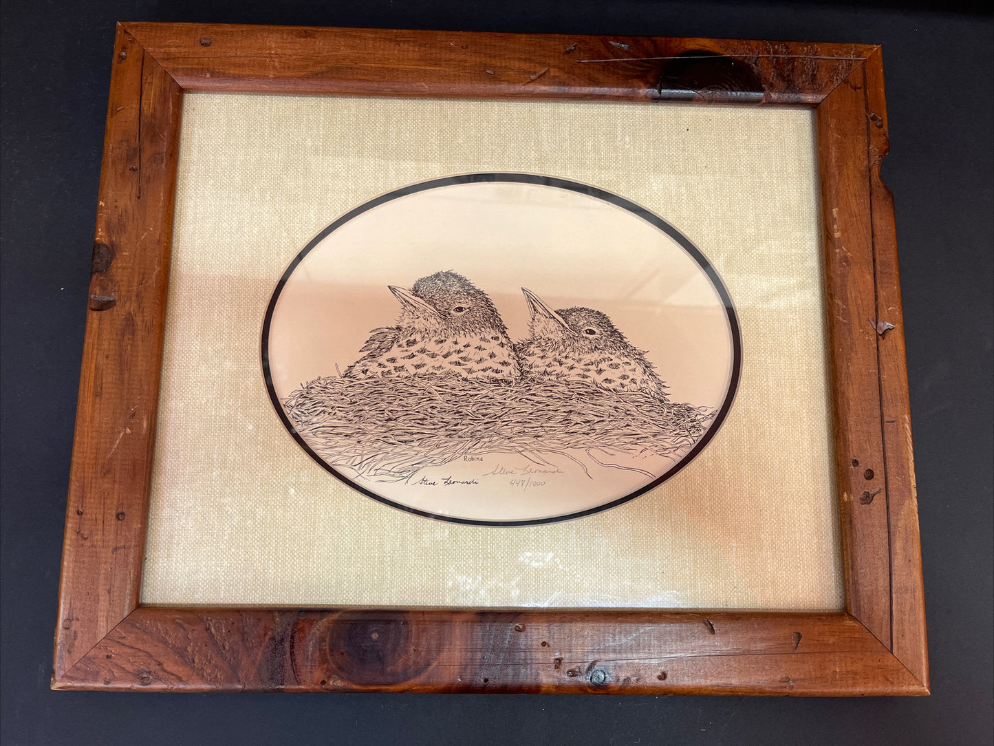 Framed Steve Leonardi Wildlife Graphics ~Robin~ Signed & # Limited Edition Print