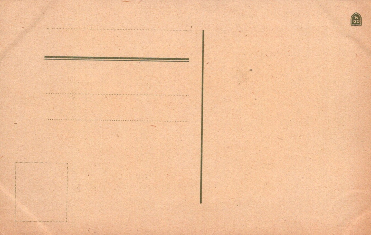 Vintage Caroline Klein Artist Signed Fruit Seeds Vase Post Card