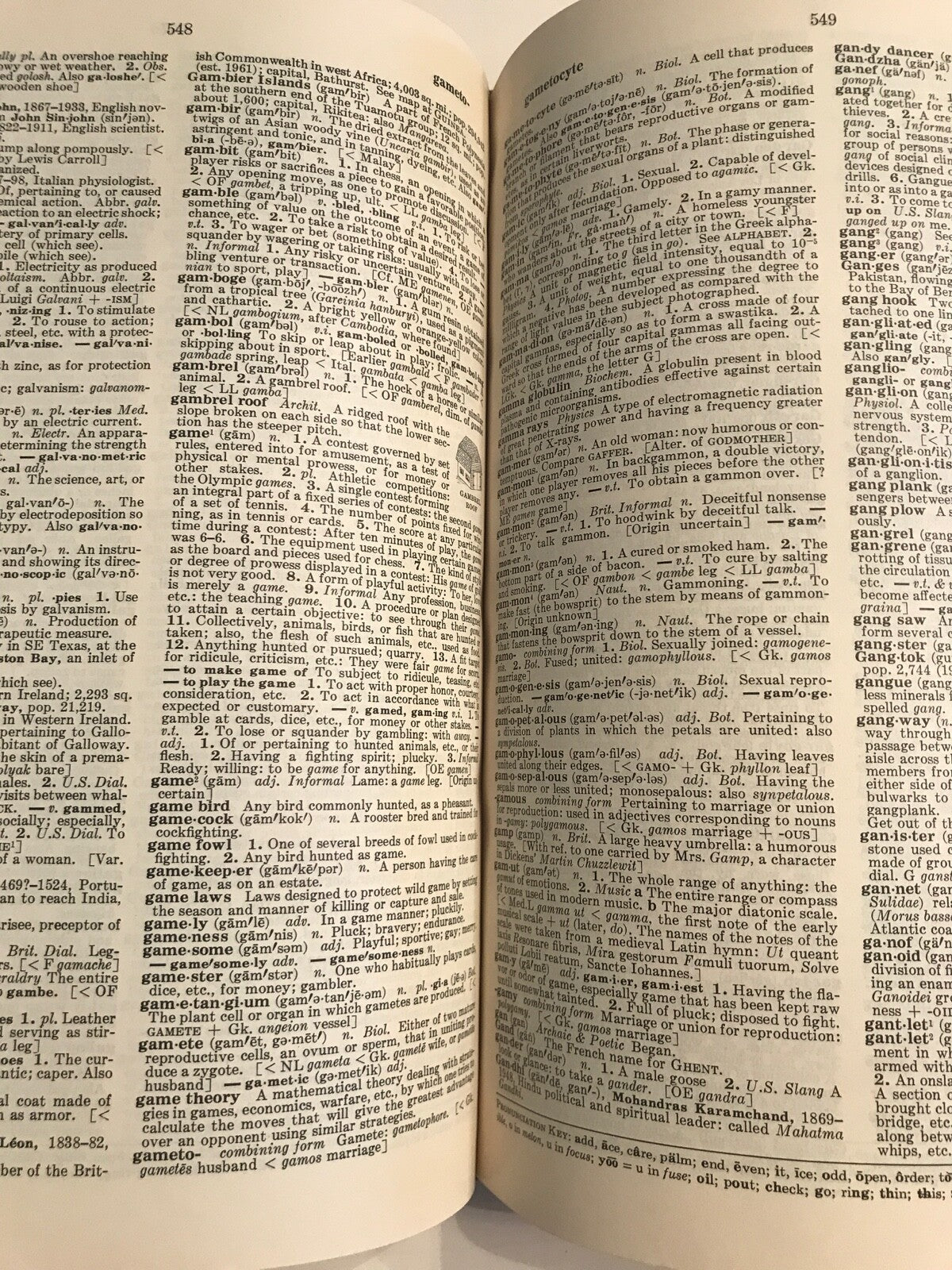 The Reader's Digest Great Encyclopedia Dictionary