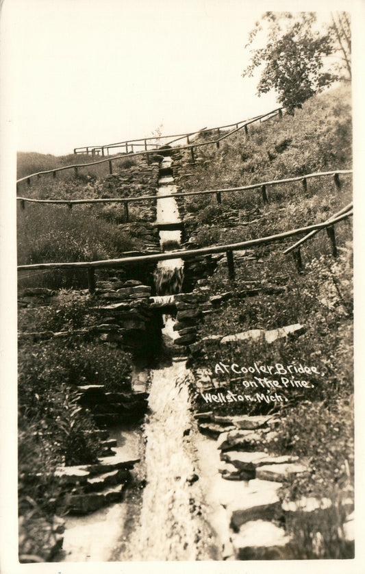 At Cooler Bridge on The pine Wellstone MI Michigan Postcard
