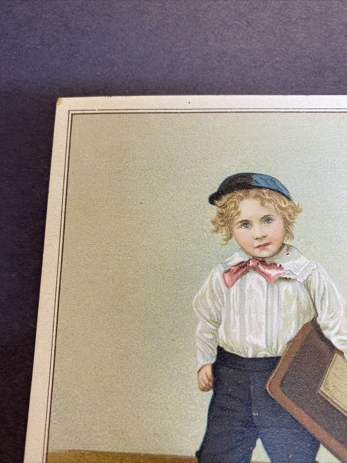 Herpolsheimer's Grand Rapids Michigan MI Advertising Victorian Trade Card boy