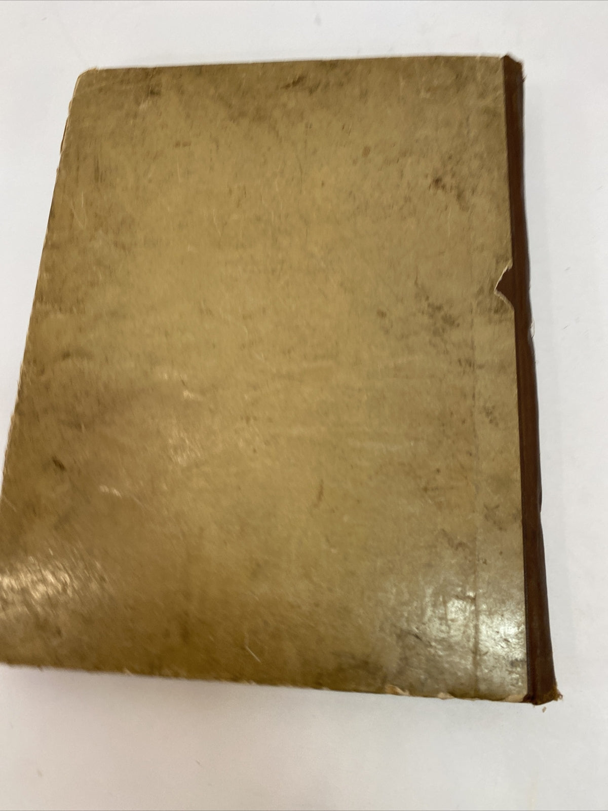 Rare 1890's Vintage Happy Darlings Childrens Book DeWolfe Fiske & Co Boston