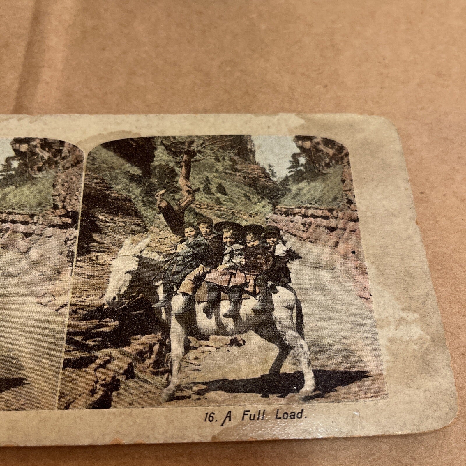 A FULL LOAD KIDS & DONKEY, POLYCHROME STEREOVIEW Color Card