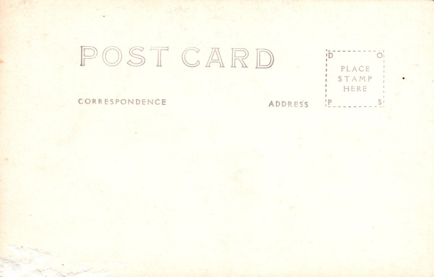 Real Photo Onyx Jungle Lookout Mountain Cave Chattanooga TN Tennessee Postcard