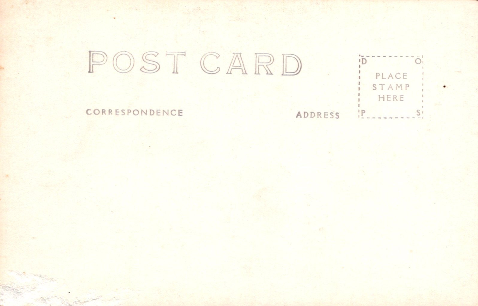 Real Photo Onyx Jungle Lookout Mountain Cave Chattanooga TN Tennessee Postcard