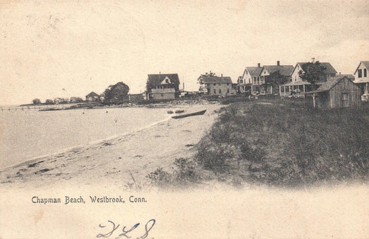 Chapman Beach in Westbrook  CT Connecticut Postcard