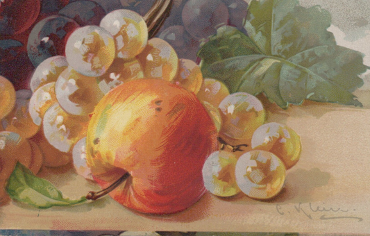 Vintage Artist Signed Catherine Klein Fruit Apple Grape White Grapes Post Card