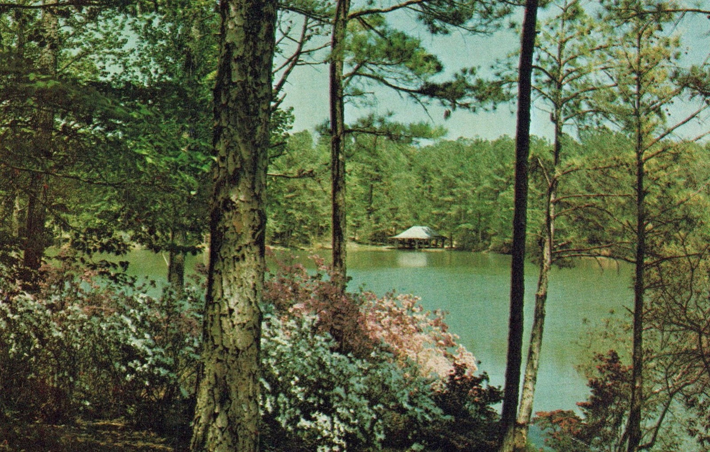 View Across Whippoorwill Lake toward the Azalea Bowl Pine Mt Georgia GA Postcard