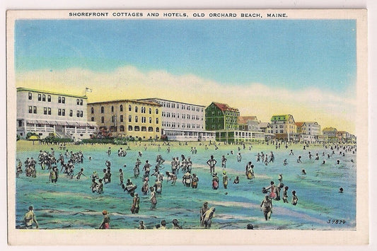 Shorefront Cottages and Hotels Old Orchard Beach ME Maine  Postcard