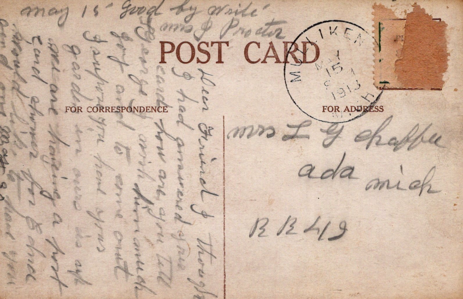 Black and White Dog Looking Up "Only say the word"  Animal Postcard