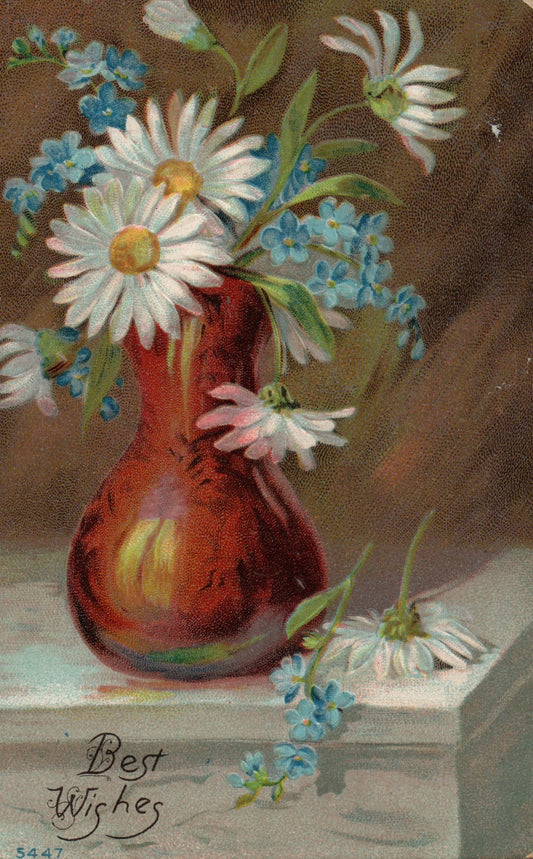  1911 Daisys Forget Me Nots Floral Flowers  Postcard #5447