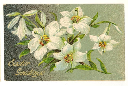 Embossed Lily  Easter Postcard Series A 3