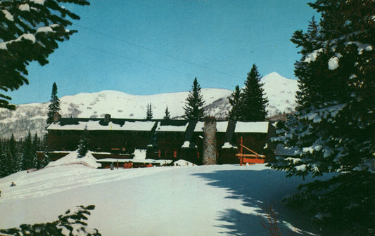 Alpine Rose Lodge Brighton B244 UT Utah Postcard