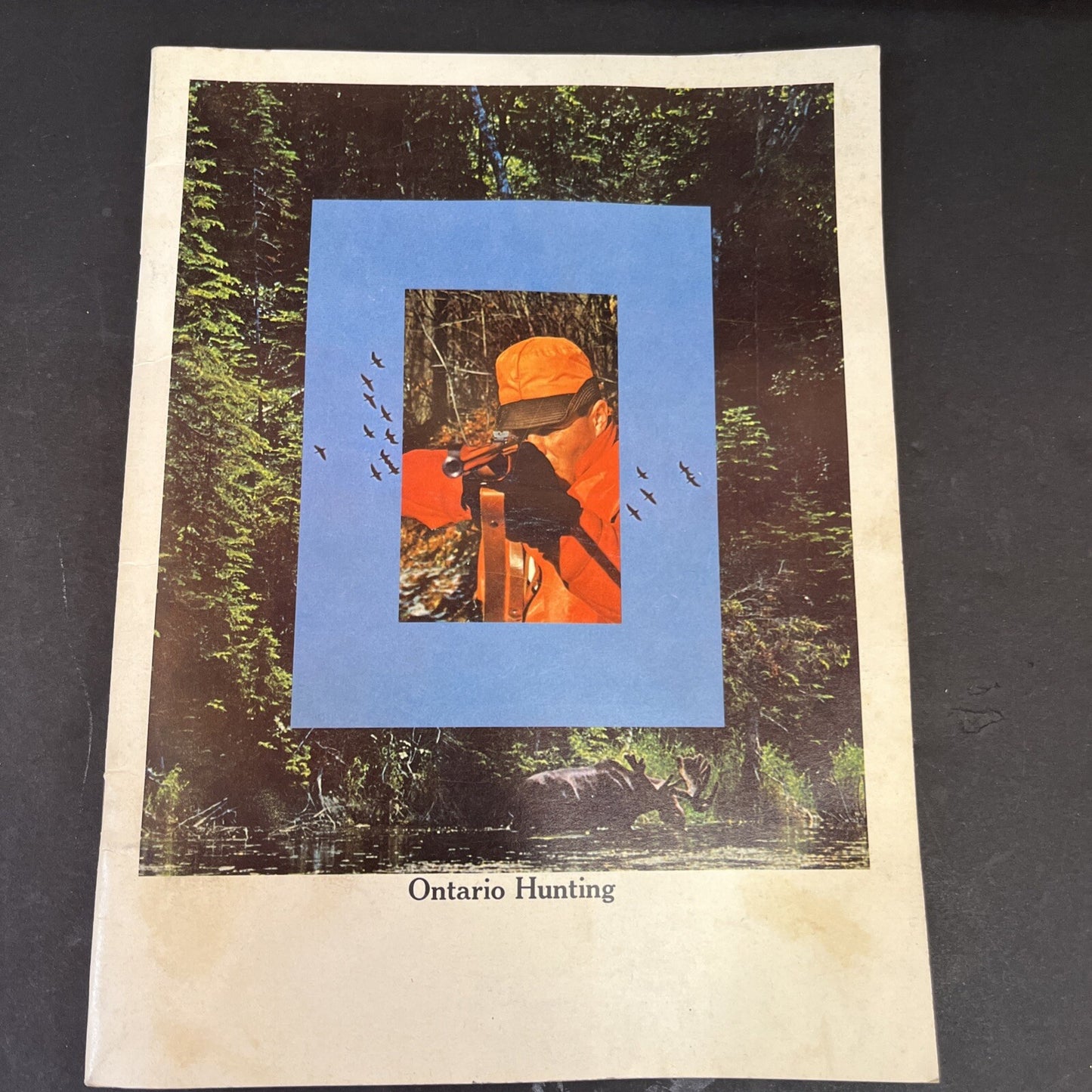 Ontario Hunting Guide ????? edition