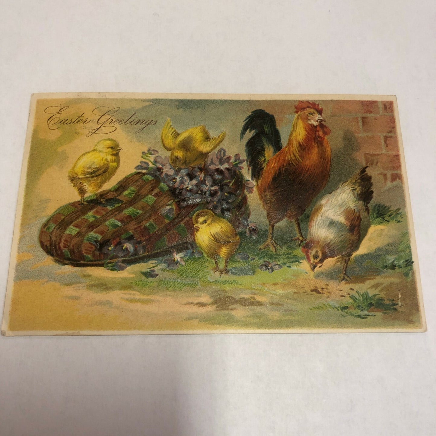Fabulous Vintage Easter Rooster, Hen Chicks with Old Shoe Slipper Postcard