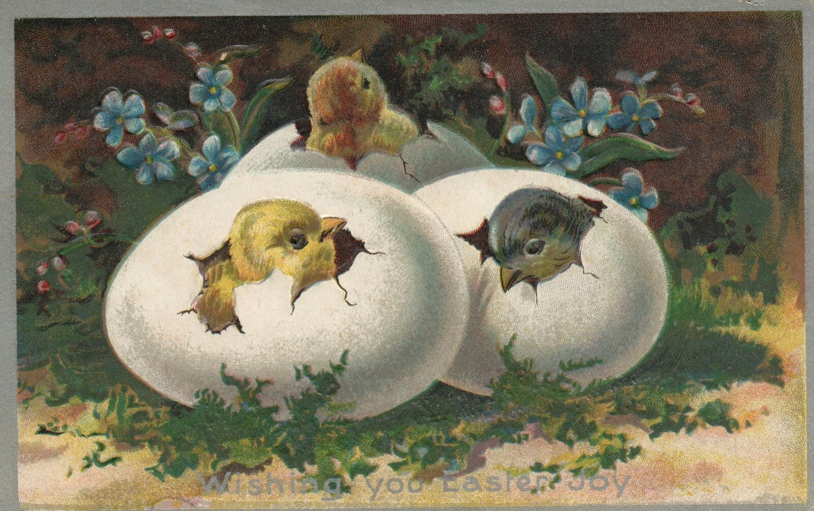 Silver Metallic Chicks Hatching Out Of Eggs Around Flowers No 18 Easter Postcard