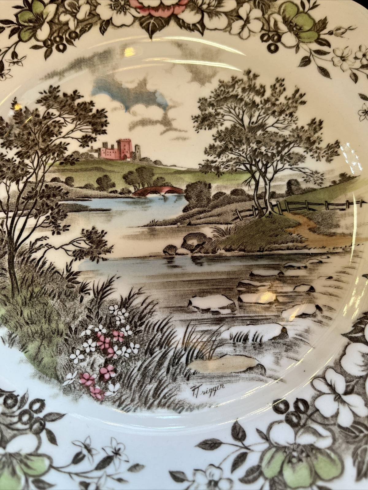 Beautiful 10” English Straffordahire Dinner Plates (6)