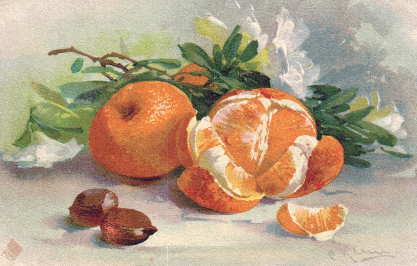 Artist Signed Catherine Klein Oranges