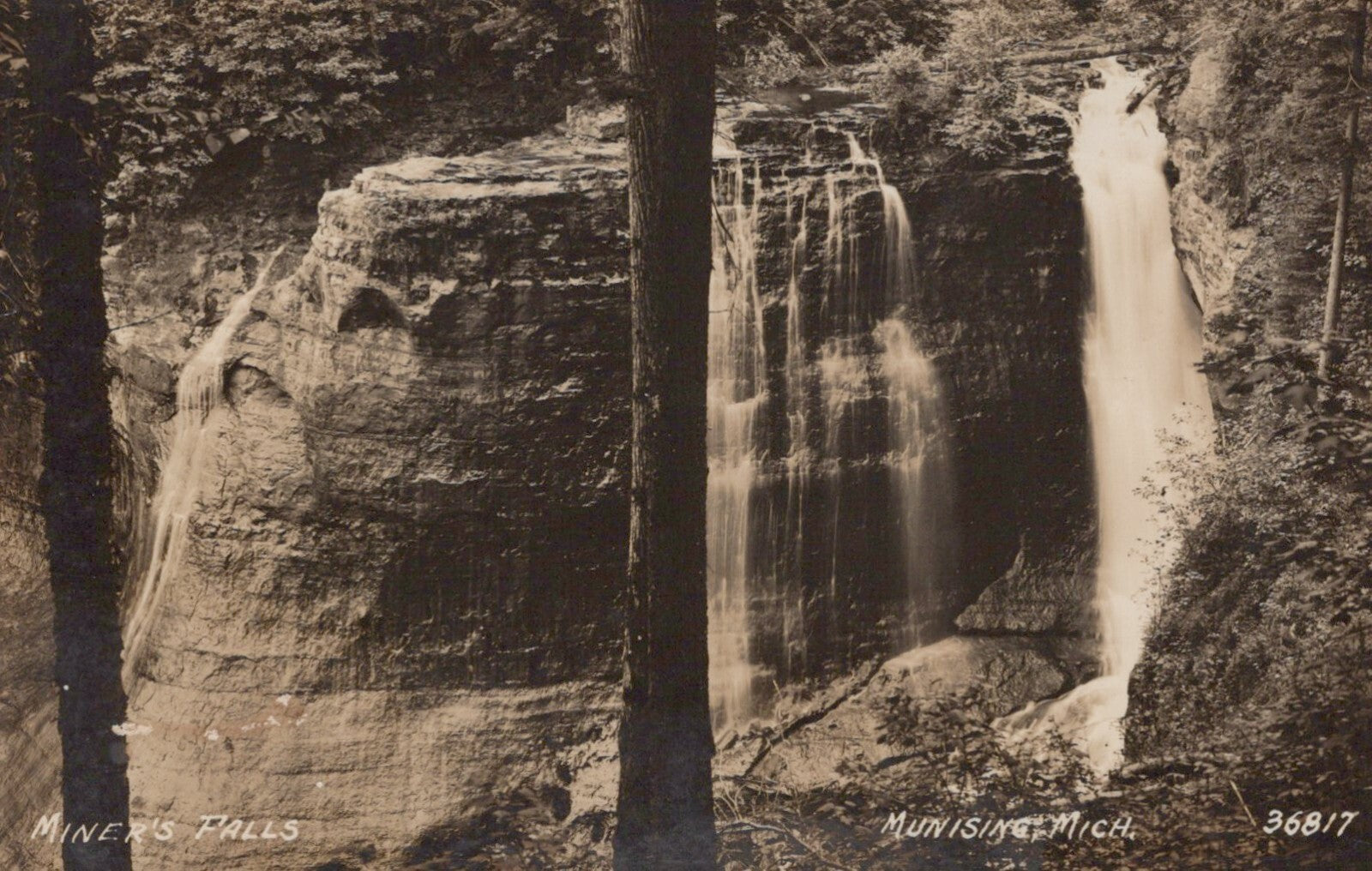 Real Photo Miners Falls Behind Trees Munising MI Michigan Mich Postcard 36817