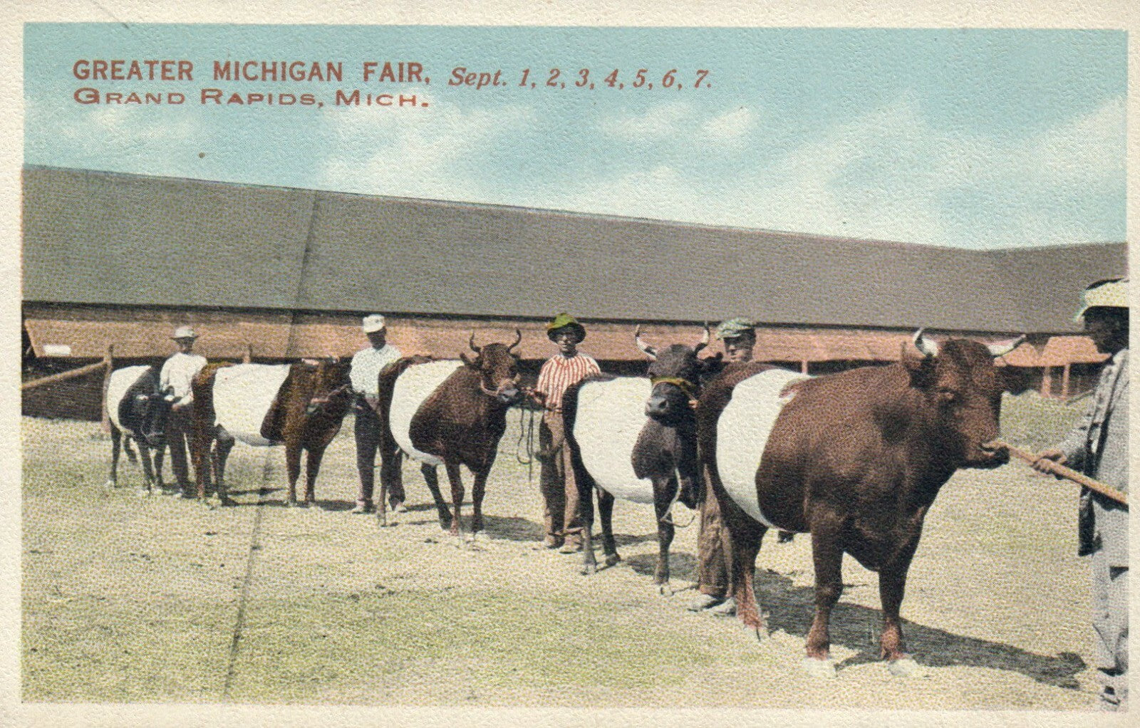 Greater Michigan Fair, Grand Rapids Michigan Mich MI Postcard cows bulls