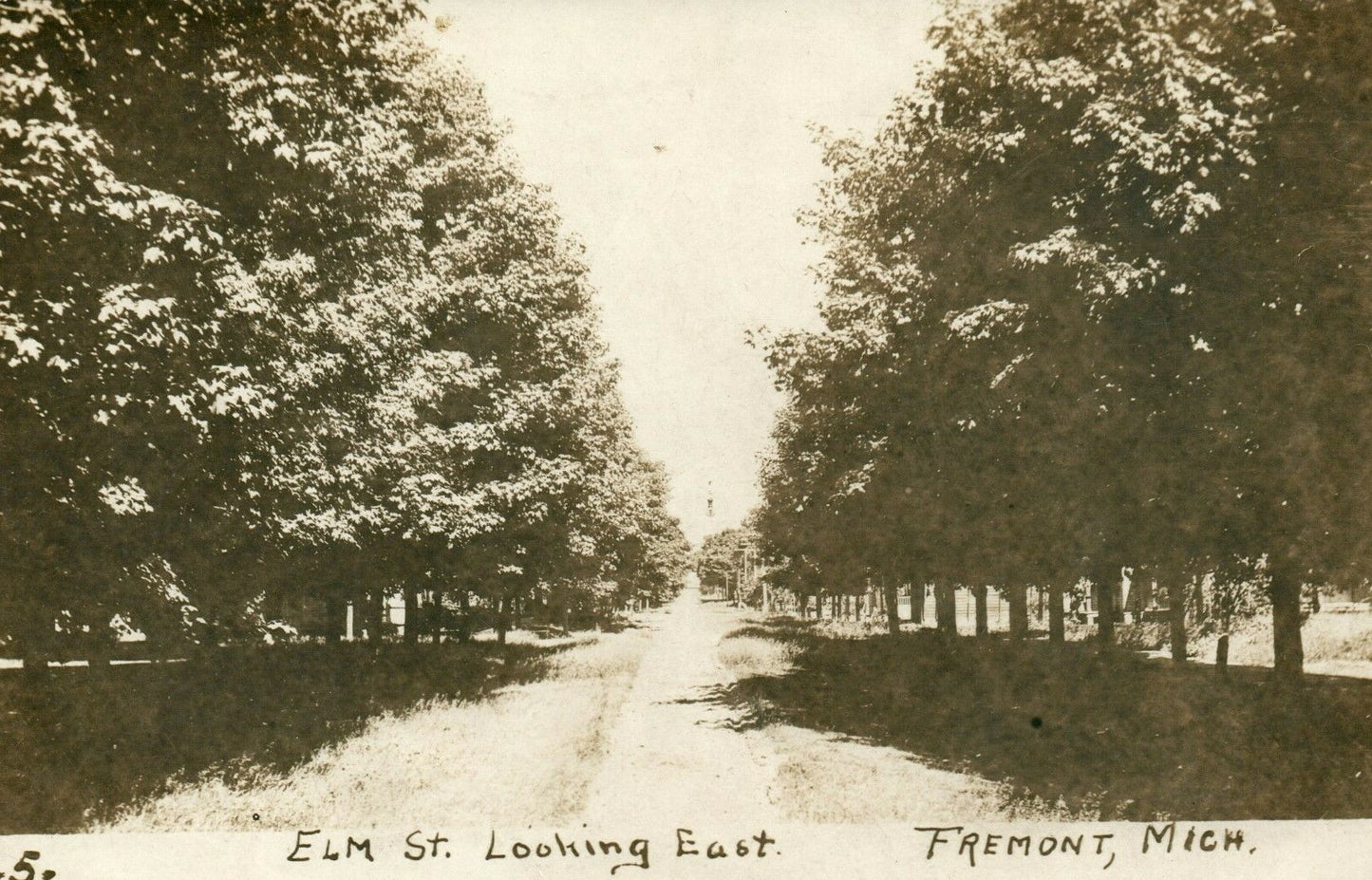 1900's Real Photo ELM St Looking East Fremont Michigan MI Postcard