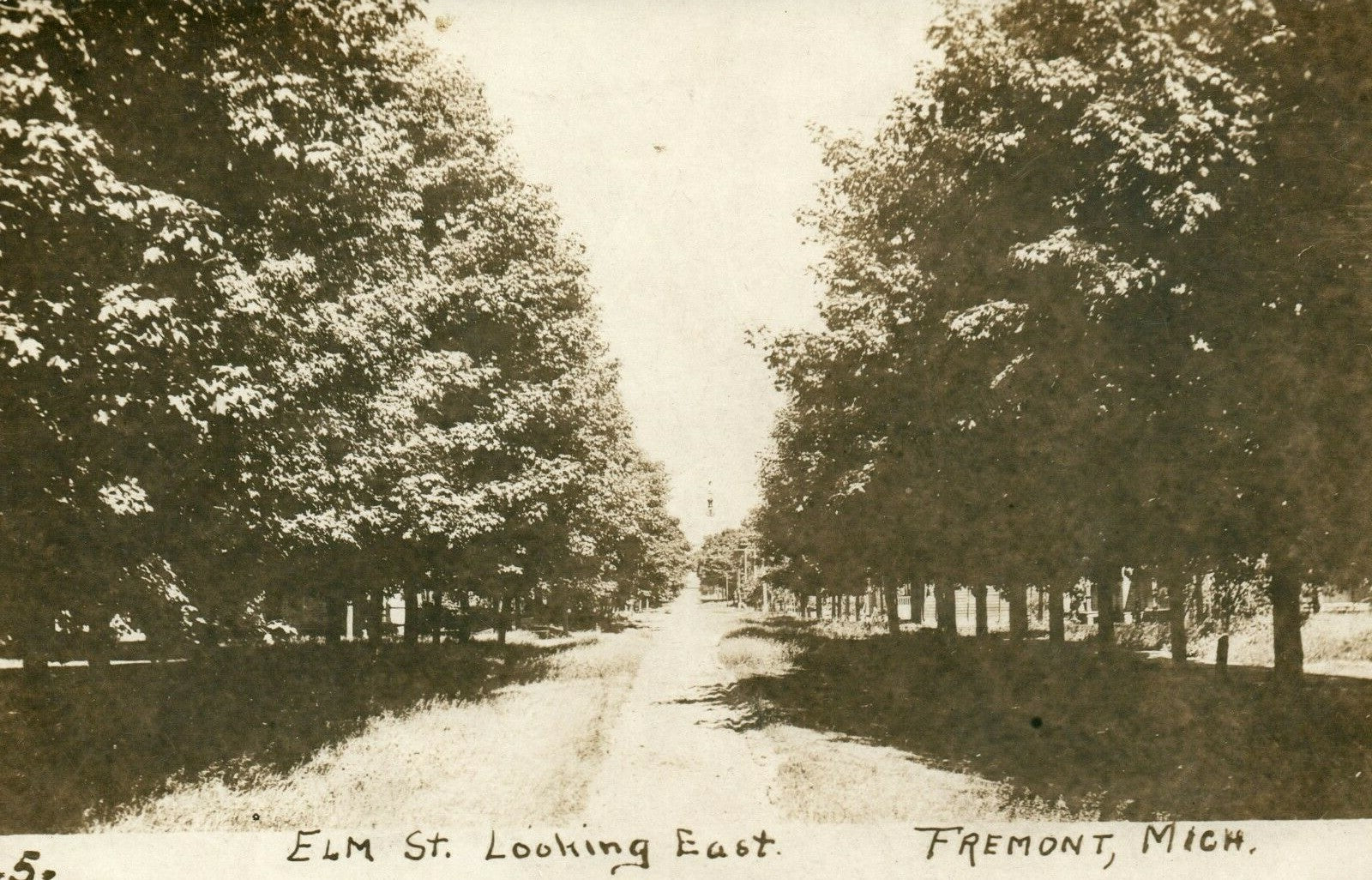 1900's Real Photo ELM St Looking East Fremont Michigan MI Postcard