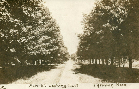 1900's Real Photo ELM St Looking East Fremont Michigan MI Postcard