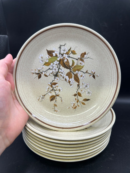 Royal Doulton WILD CHERRY 9 Salad Plates Made in England Lambethware 1979