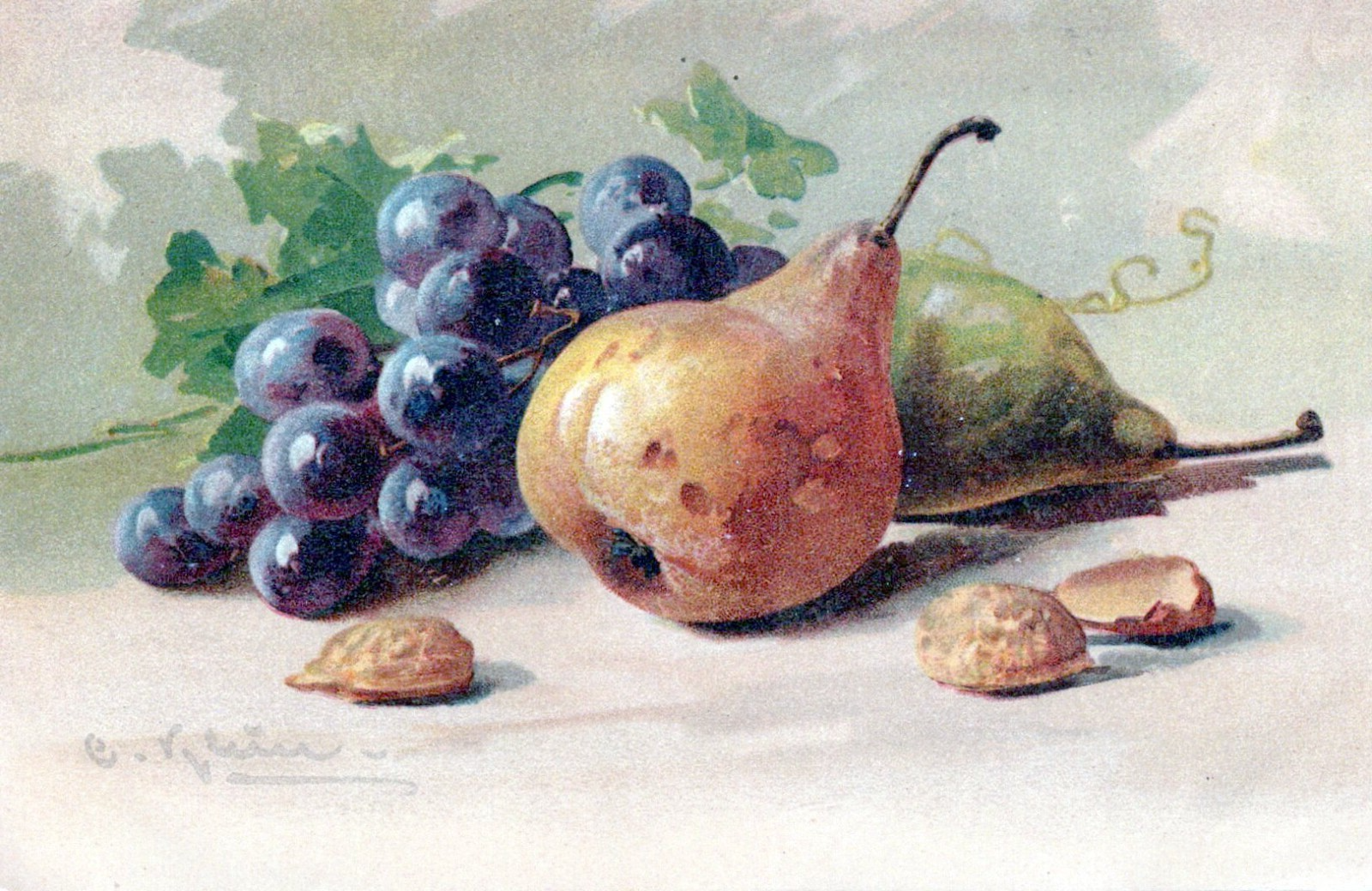 Vintage Catherine Klein Artist Signed Pears Grapes Seeds Fruit Post Card