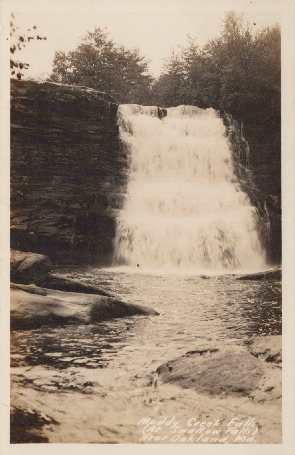 Real Photo Muddy Creek Falls Waterfall Oakland MD Maryland Postcard