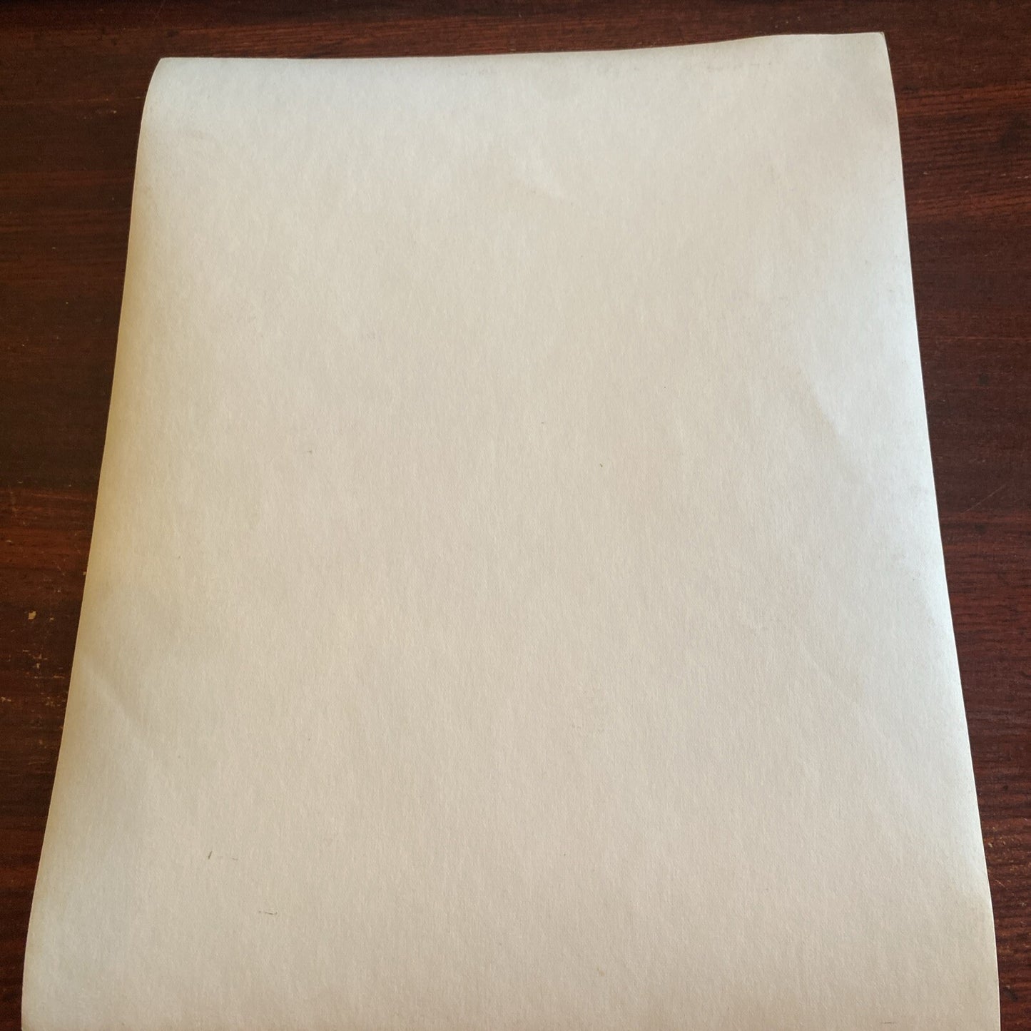 Hollywood Movie star Becky Brown AUTOGRAPHED INK Real PHOTO 8 x 10