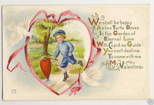 Nash Boy in Blue in Red Heart Ribbon Two Turtle Doves Valentine Postcard V-55