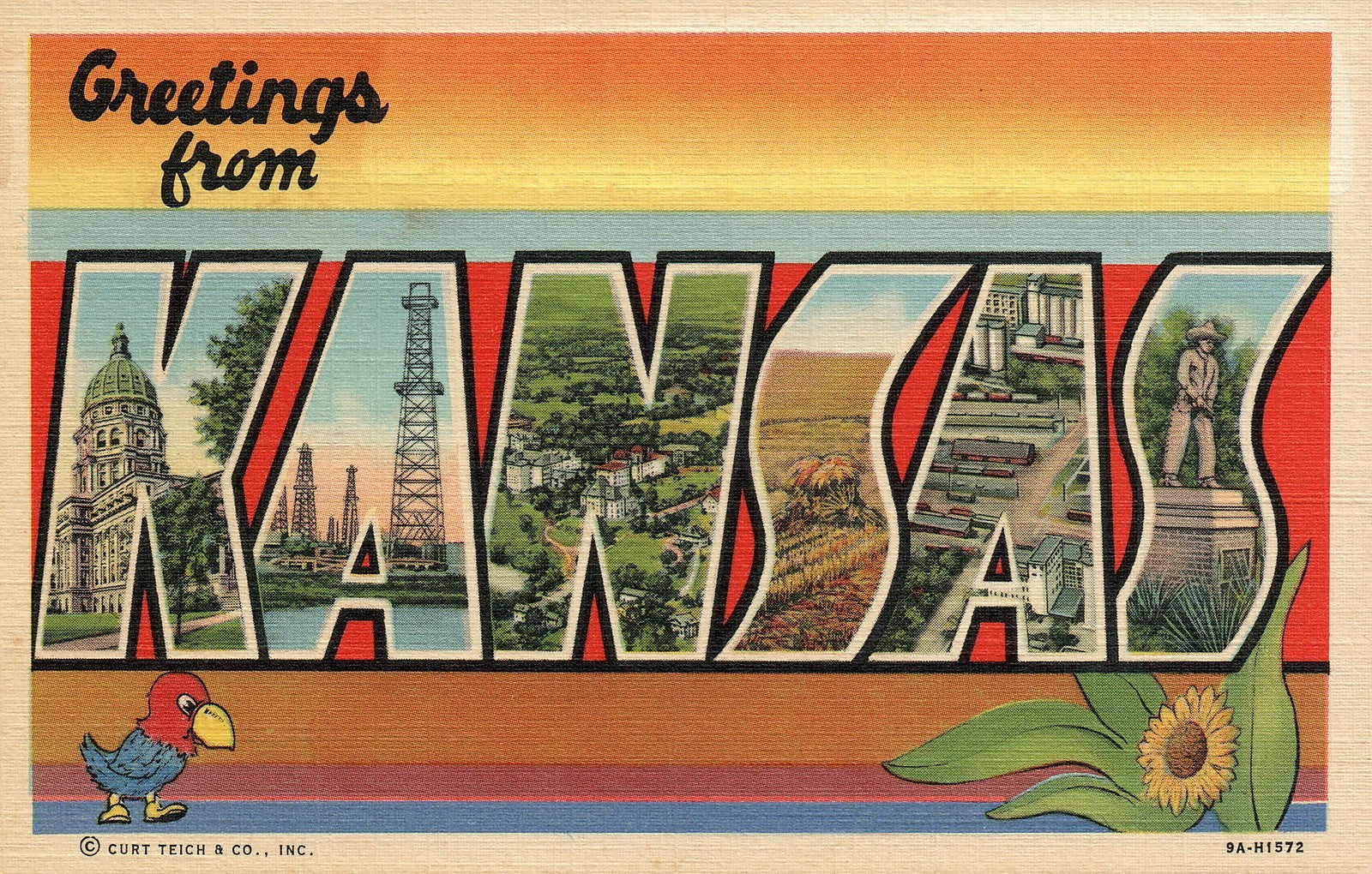 Kansas KS Large Letter  Postcard
