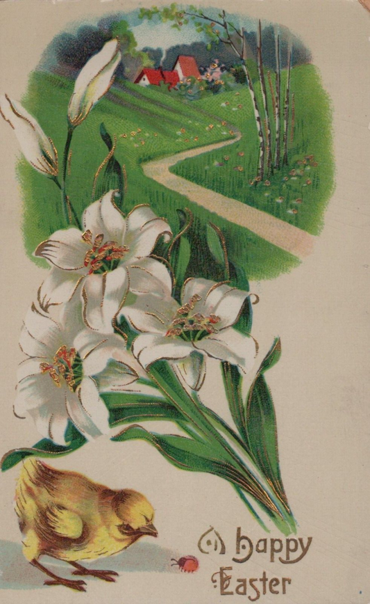 Happy Easter Chick Looks at Ladybug Lilies Flowers Country Scene Gel Postcard