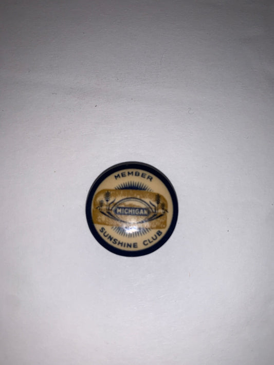 Vintage Member Michigan Sunshine Club 7/8" Celluloid Pinback