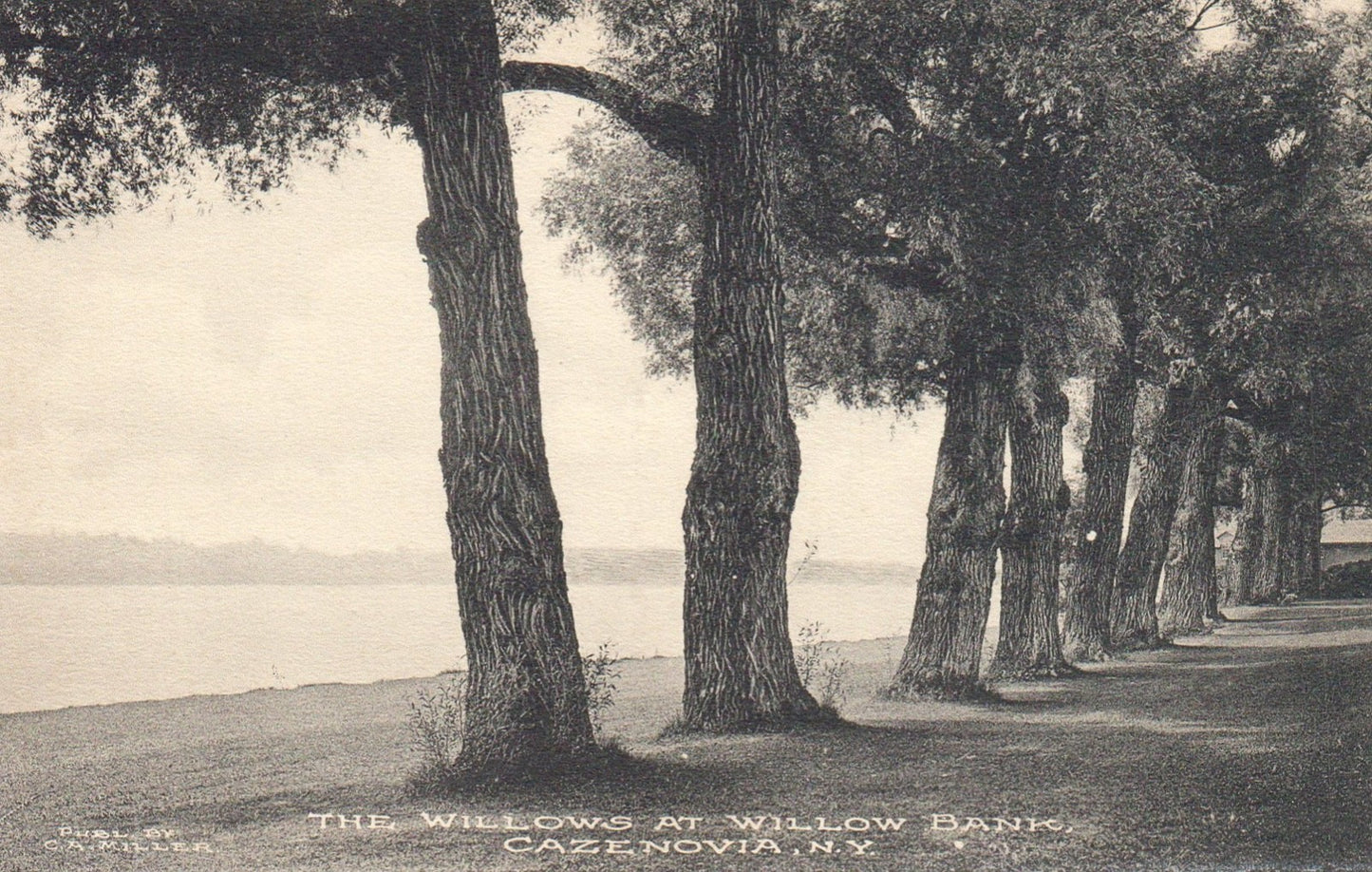 The Willows at Willow Bank Cazenovia NY New York Vintage Postcard