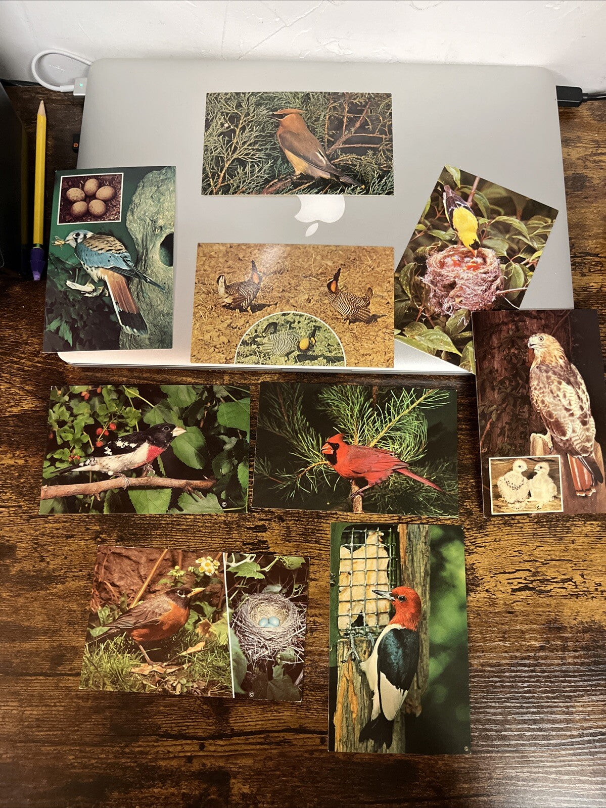 Lot Of 9 Vintage Bird Postcards.