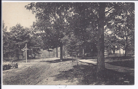 Greetings Neighborhood Park  View Indian River Mi Michigan Postcard