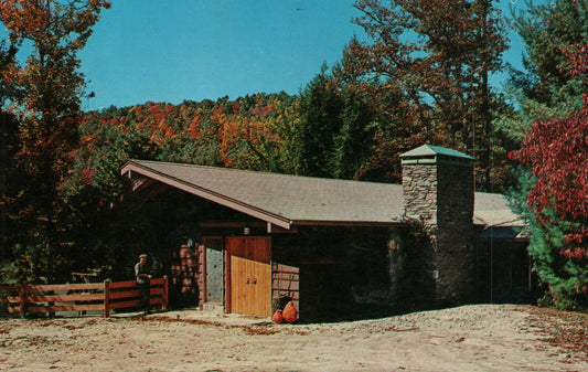 Trout Lake Sherwood Forest Cedar Mountain NC North Carolina Postcard