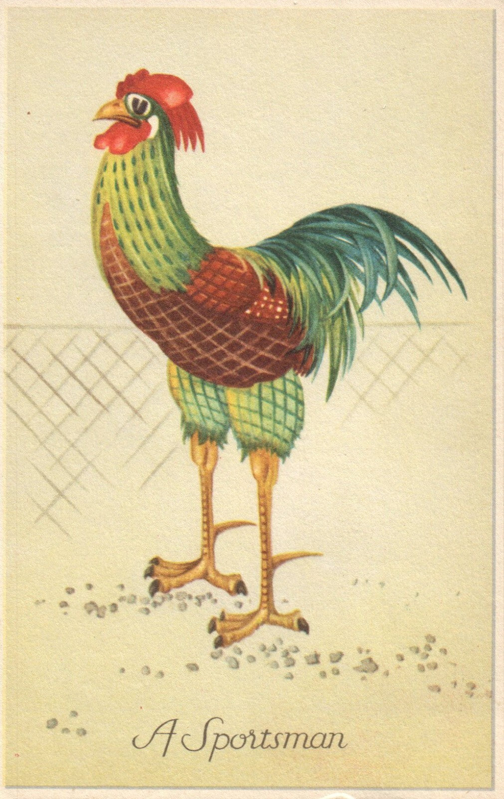Chicken Rooster Artist Signed Leon Davidson Bird Animals Postcard