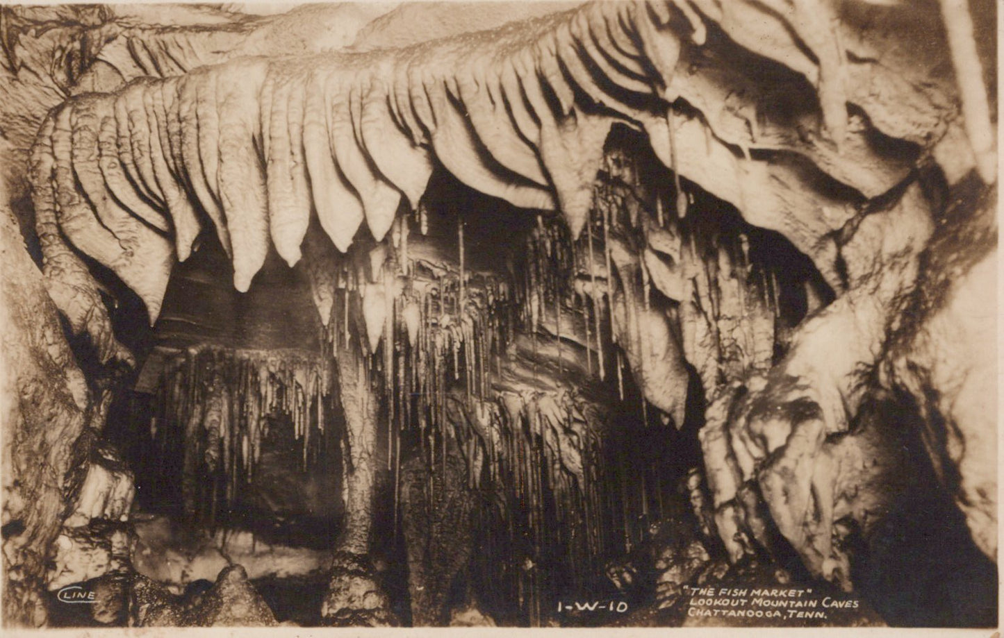 Real Photo Fish Market Lookout Mountain Cave Chattanooga TN Tennessee Postcard
