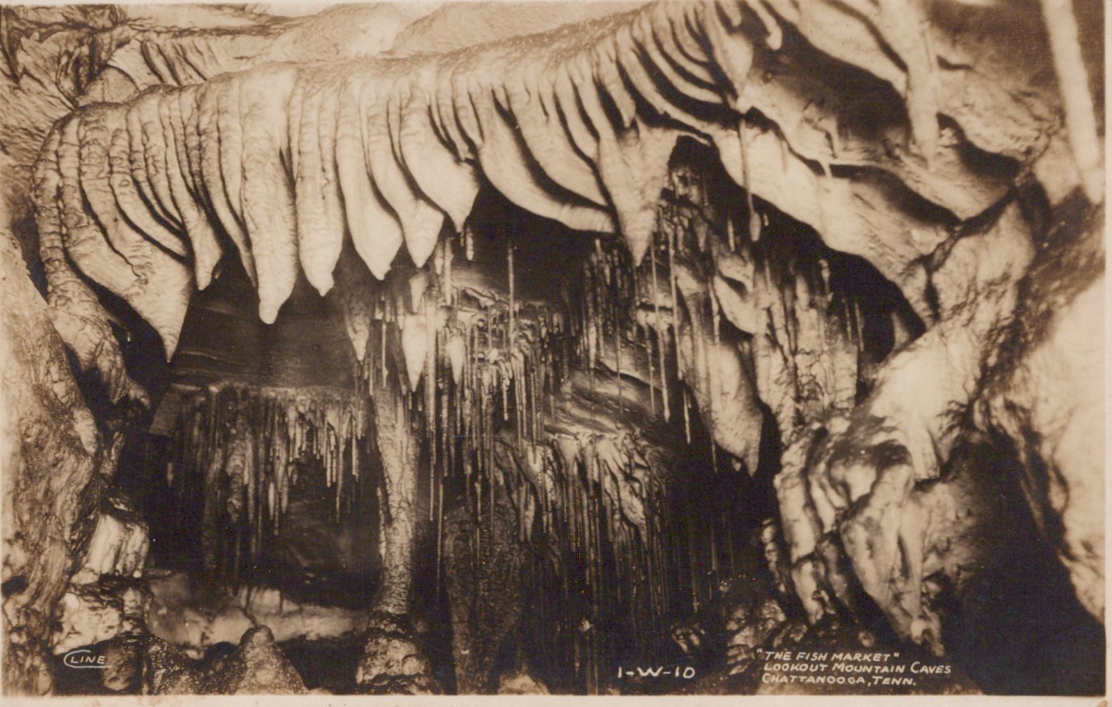Real Photo Fish Market Lookout Mountain Cave Chattanooga TN Tennessee Postcard