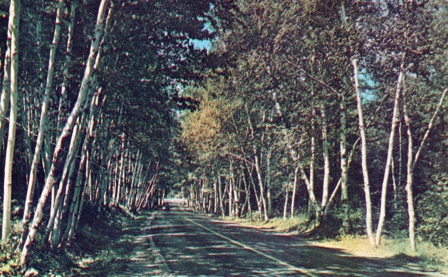 Greetings From the Martins Restaurant in Coopersville MI Michigan Postcard