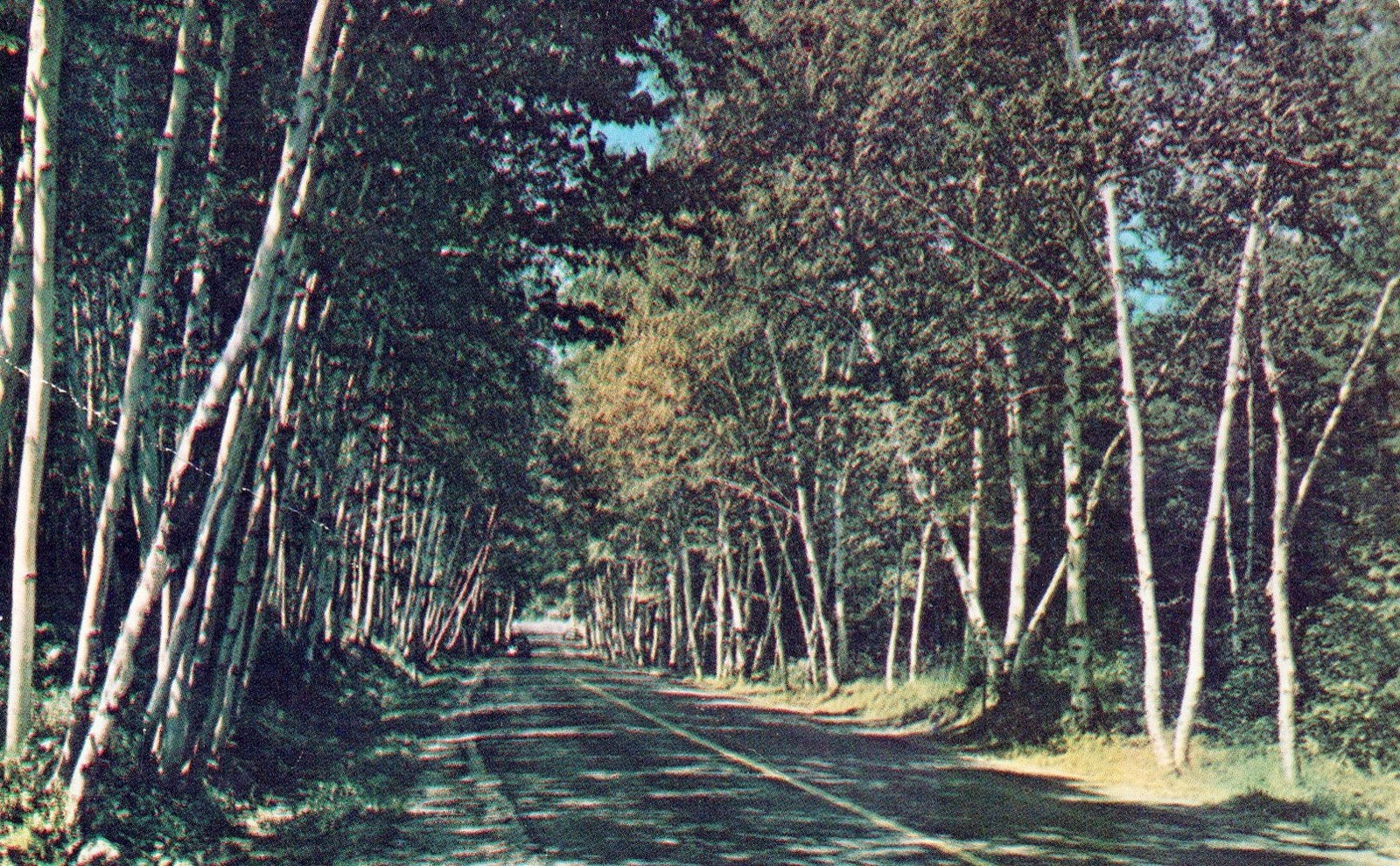 Greetings From the Martins Restaurant in Coopersville MI Michigan Postcard