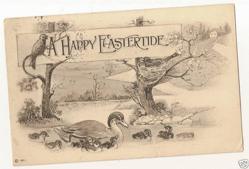 Duck Bird in Nest Easter Postcard Series 4005
