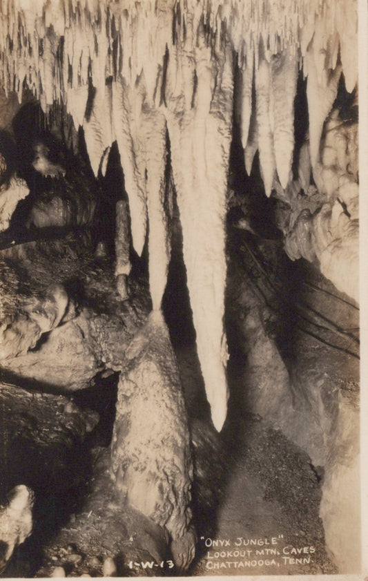 Real Photo Onyx Jungle Lookout Mountain Cave Chattanooga TN Tennessee Postcard