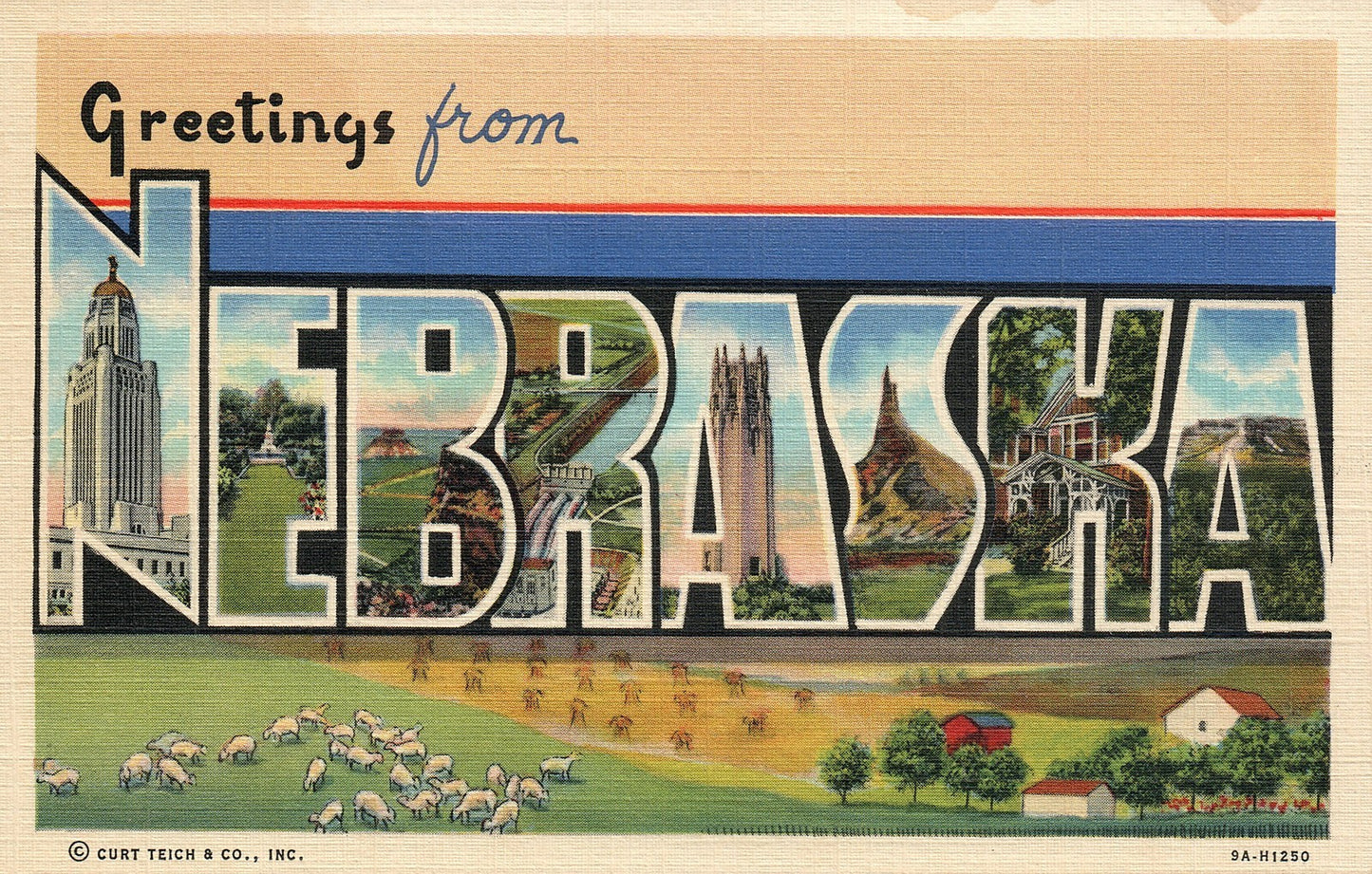 Large Letter Nebraska NE Postcard