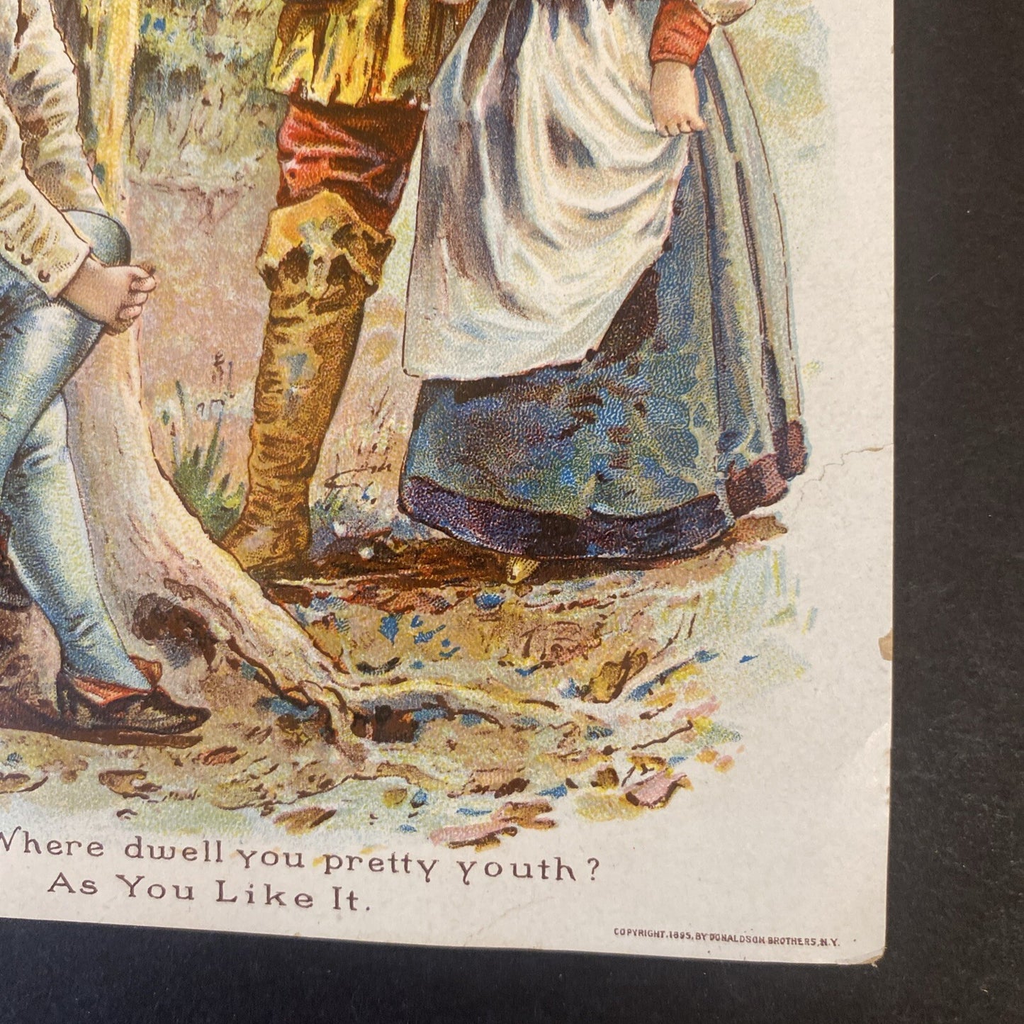 H E Bucklen 1895 Dr Kings New Discovery Shakespeare Victorian Trade Card # 4