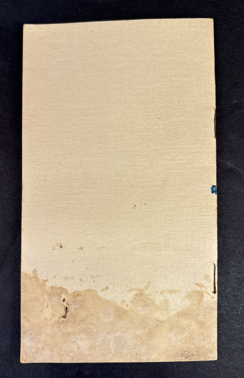 Dainty Luncheons & How to Prepare Them Menus Recipes Booklet Pamphlet